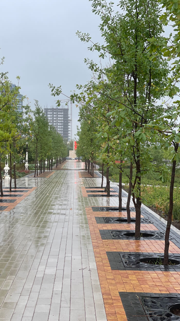 Приствольная решетка для дерева ZKING CRUST 1.2х1.2м Черная в Арзамасе фото