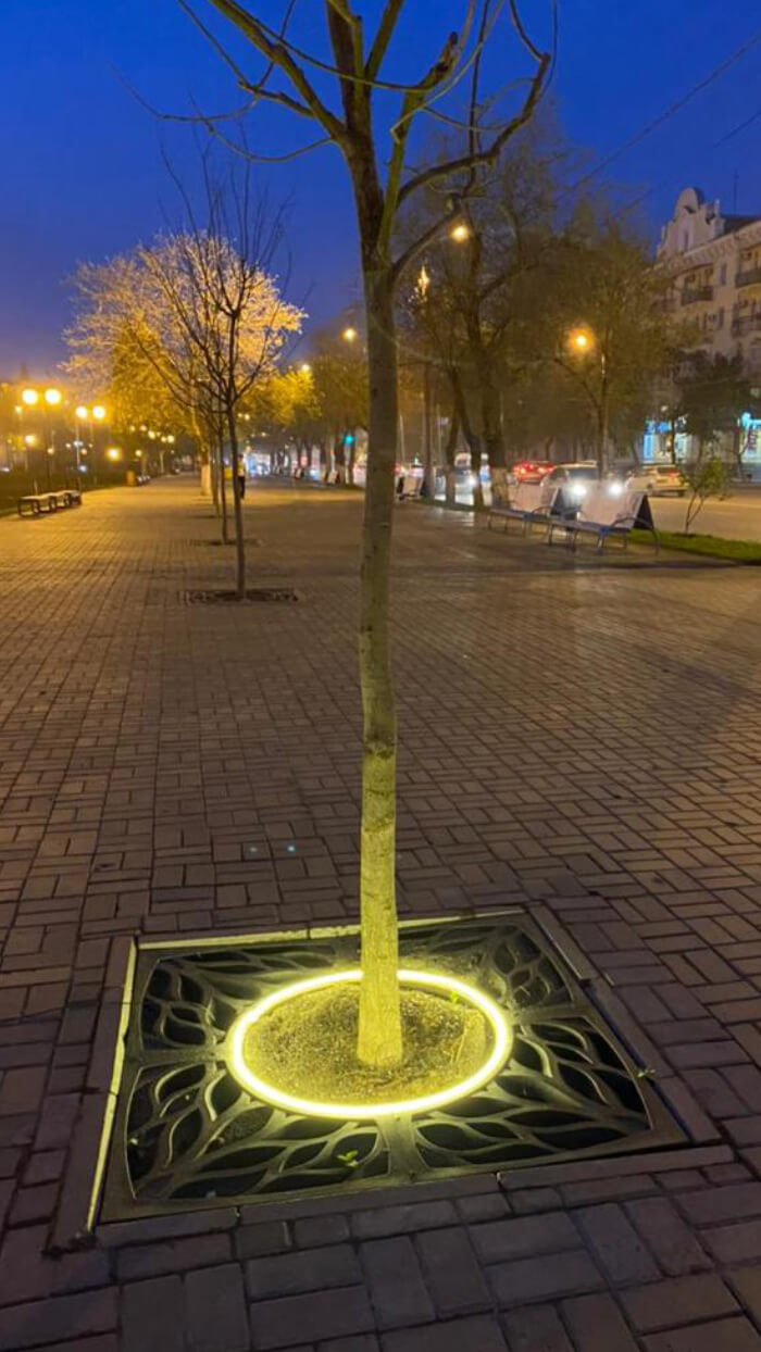 Приствольная решетка для дерева ZKING CRUST 1.2х1.2м Черная в Арзамасе фото